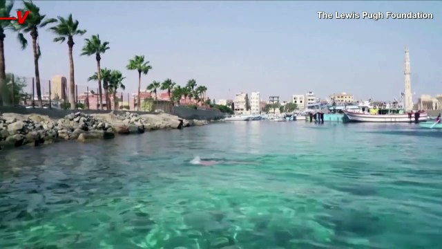 Long-Distance Swimmer Braves Shark-Filled Waters, Crosses the Red Sea for Climate Change