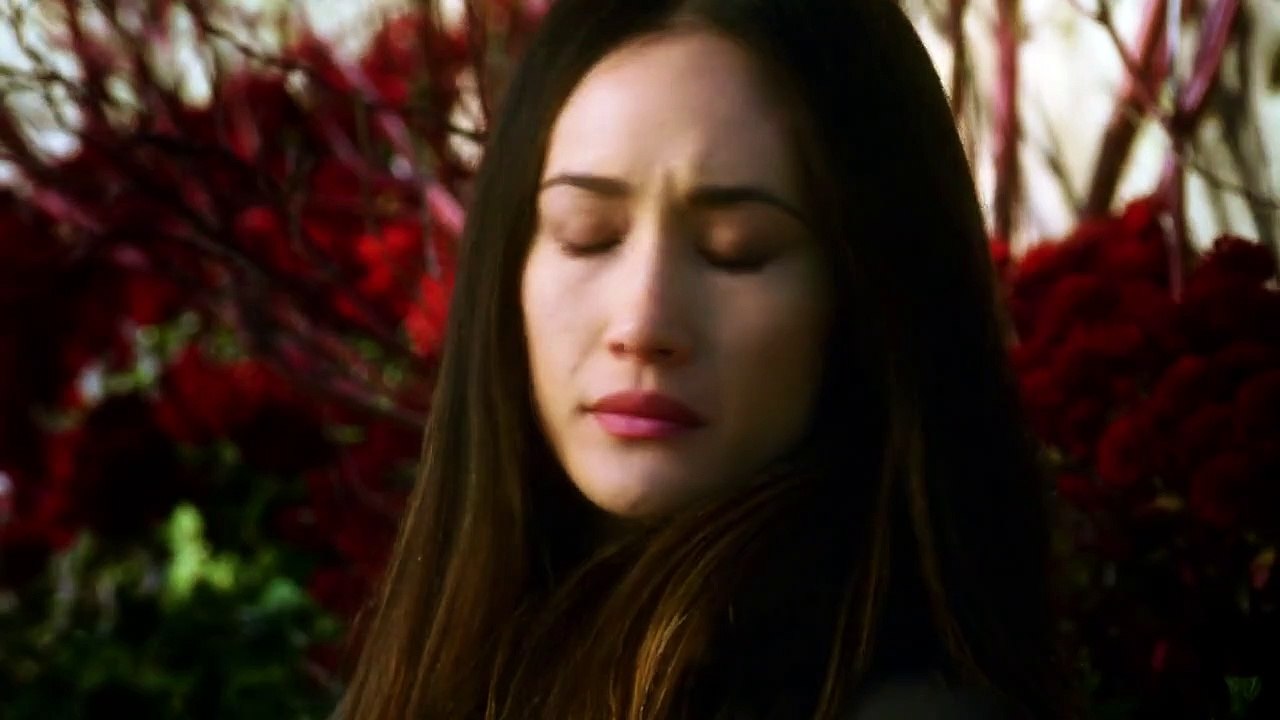 Nikita (2010) Staffel 1 Folge 11 HD Deutsch