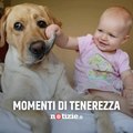 Bimbi e cani: i video più teneri