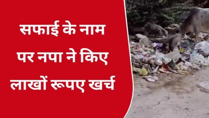 श्योपुर : लाखों खर्च के बाद भी सफाई व्यवस्था बदहाल , खुली नगरपालिका के दावों की पोल