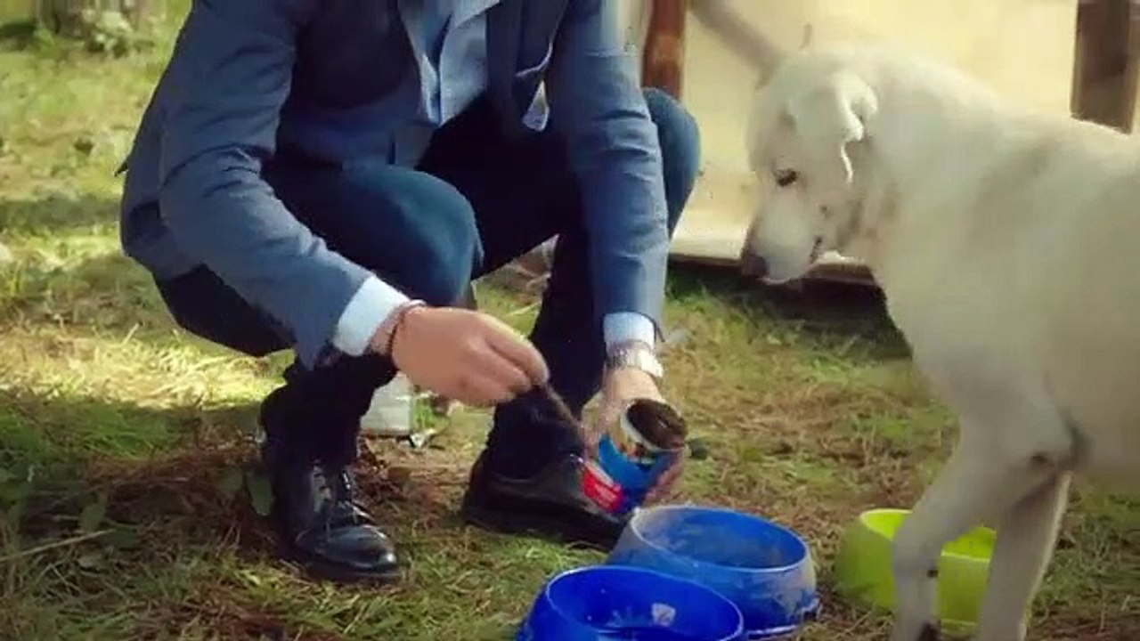 مسلسل جرائم صغيرة مترجم عربي الحلقة 3 - جزء ثاني