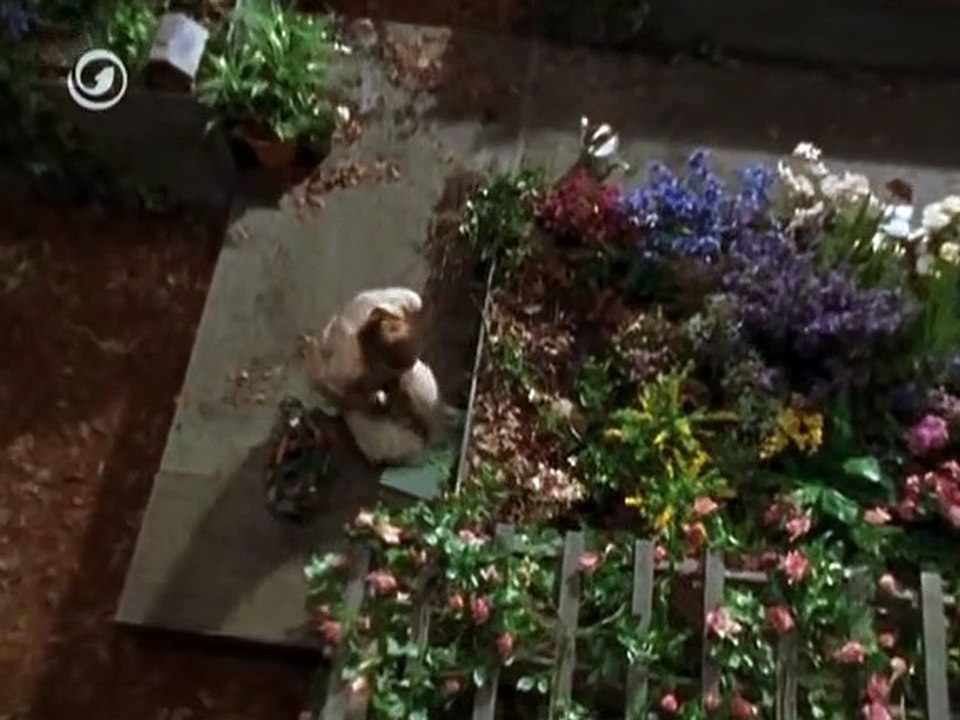 Outer Limits - Die unbekannte Dimension Staffel 7 Folge 12 HD Deutsch