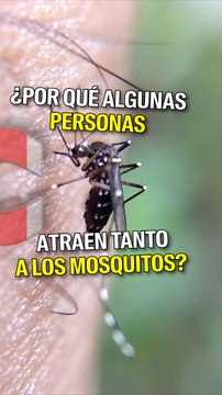 ¿Por qué algunas personas son como imanes de mosquitos?
