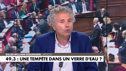 Gilles-William Goldnadel : «Sur le plan de l'intelligence culturelle, je ne suis pas sûr que ce soit intelligent»