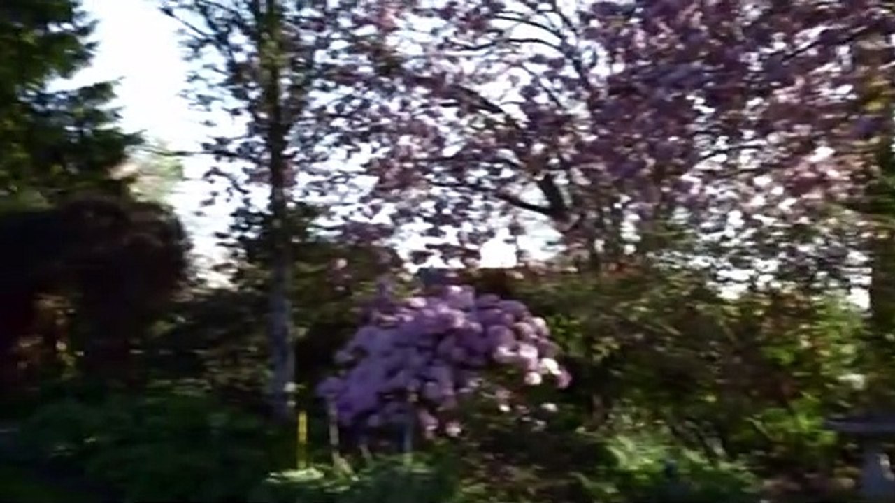 Blade - Die Jagd geht weiter Staffel 1 Folge 6 HD Deutsch