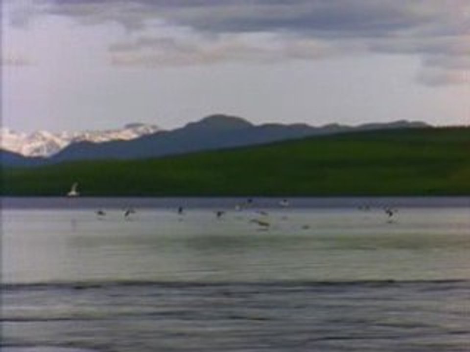 Lac