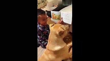 Sweet_little_kid_teaches_his_doggy_friend_how_to_read