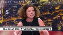 Elisabeth Lévy : «L'opinion agit par procuration en quelque sorte»