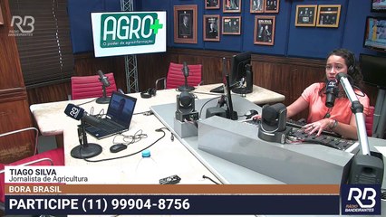 CEBOLA | Por que os preços não baixam? 28/10/2022 15:52:54