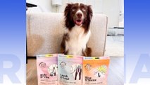 Meet the Phoenix Pet Brand Delivering Joy to Valley Pups