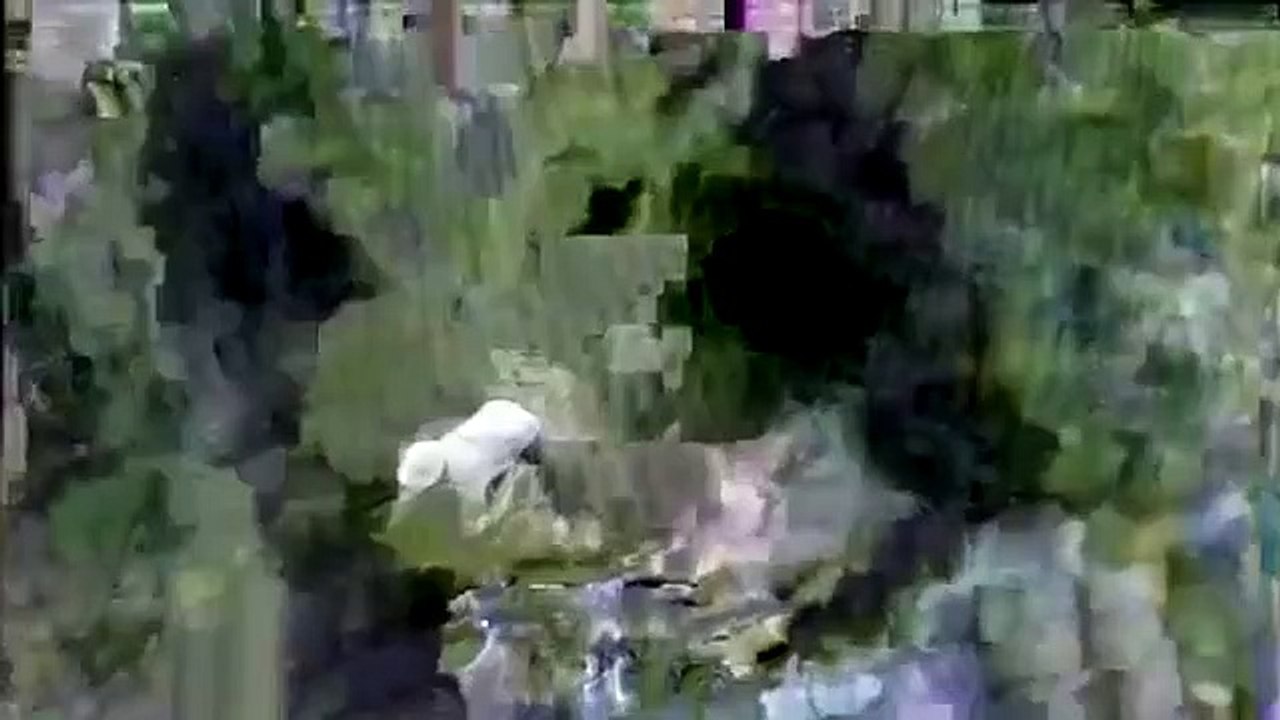 kaze no haruken - Ep08 HD Watch HD Deutsch