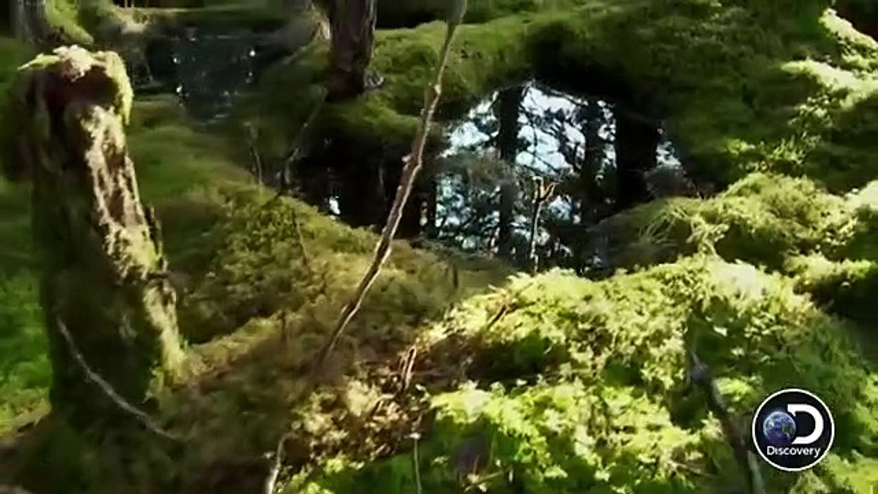 Kodiak - Se1 - Ep01 HD Watch HD Deutsch