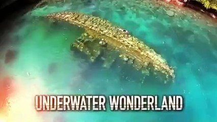 ABC News Nightline - Se1 - Ep08 HD Watch HD Deutsch