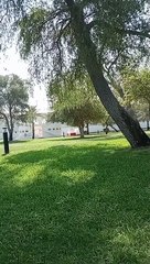 ## Quaint & quiet park in Abu Dhabi city
