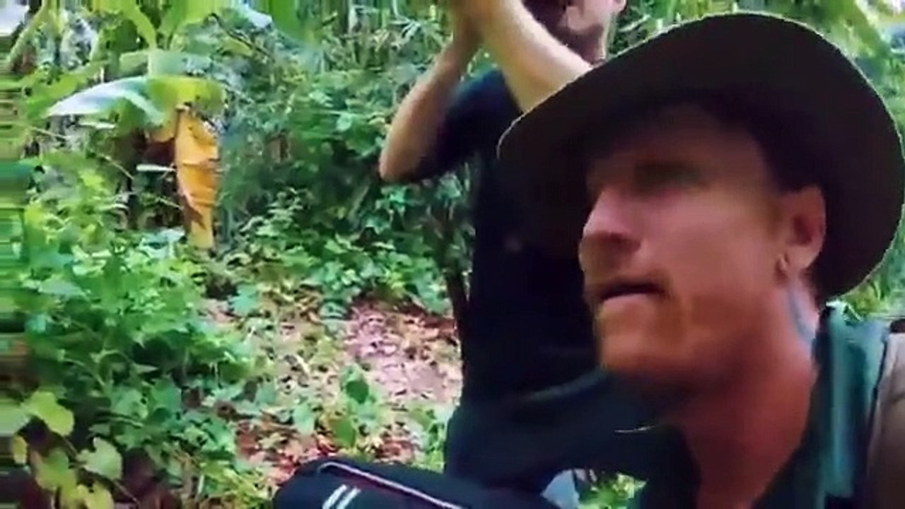 Legends of the Wild - Se1 - Ep03 HD Watch HD Deutsch