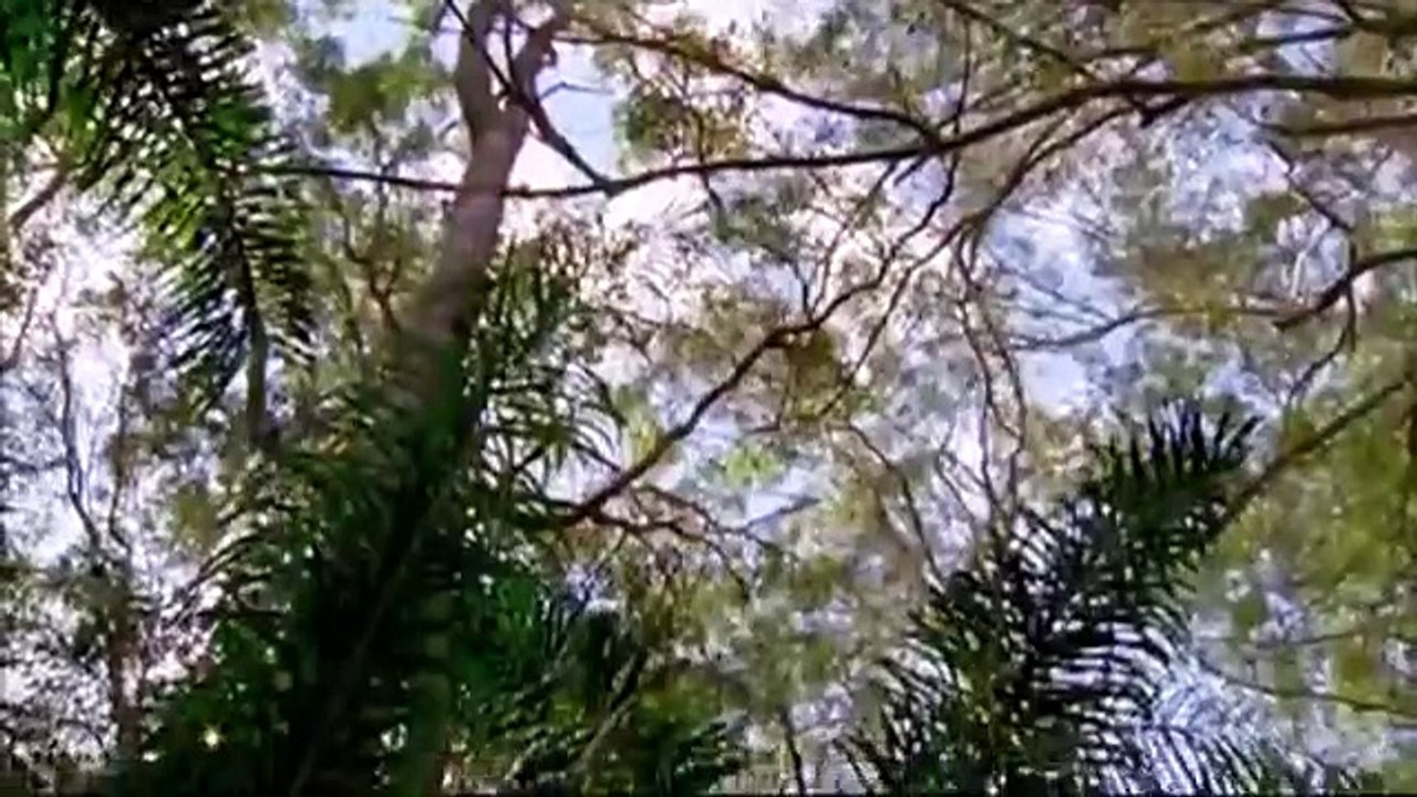 Lightning Point - Se1 - Ep06 HD Watch HD Deutsch