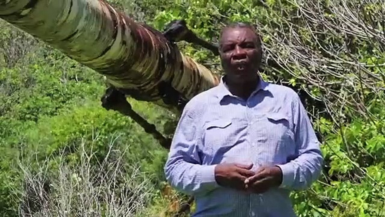 Mysteries of the Abandoned - Se2 - Ep05 - Giants of War HD Watch HD Deutsch