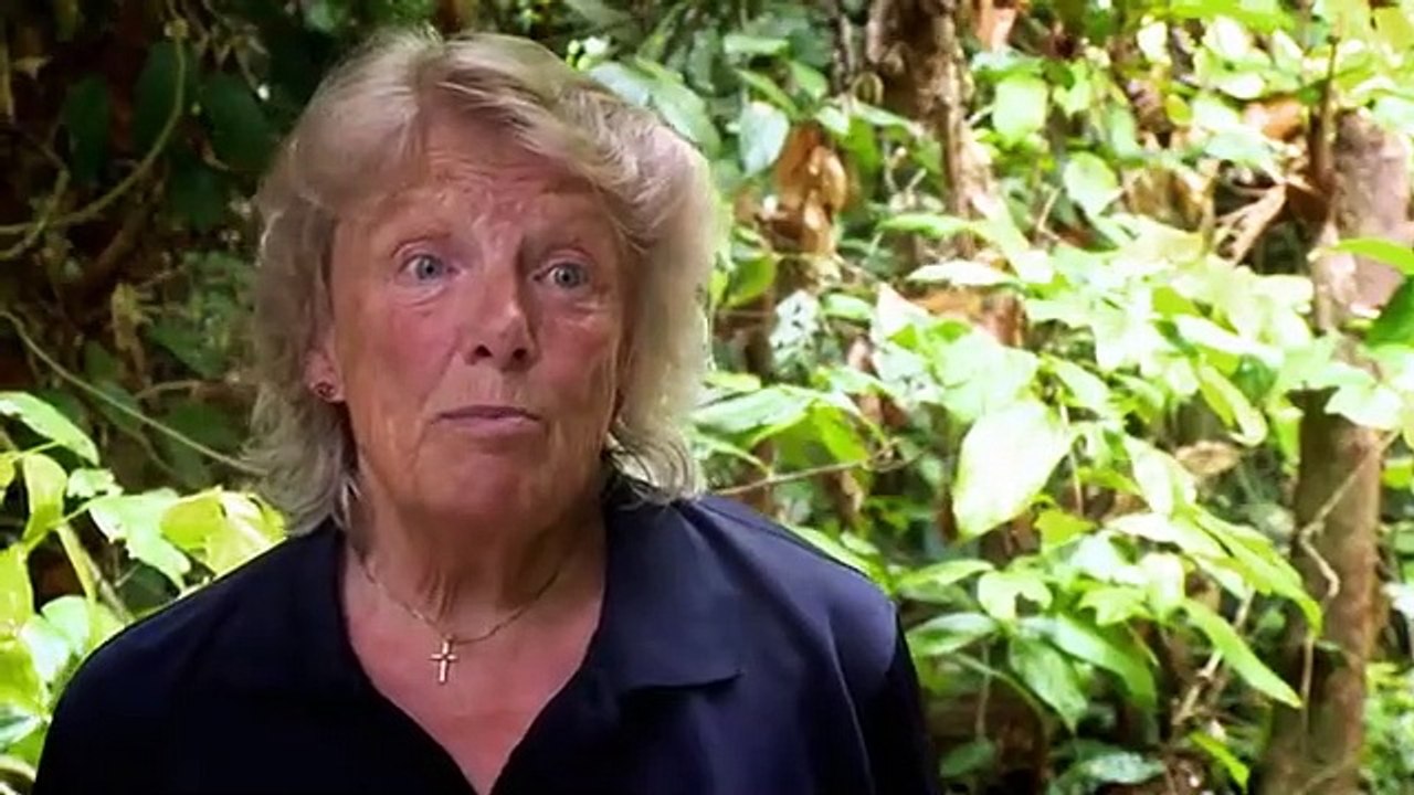 Meet the Orangutans - Se1 - Ep02 HD Watch HD Deutsch