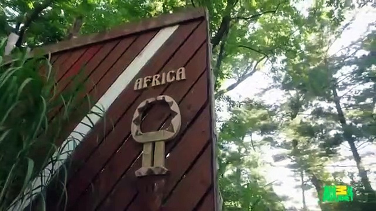 The Zoo (2017) - Se2 - Ep08 - Miracle Cub HD Watch HD Deutsch