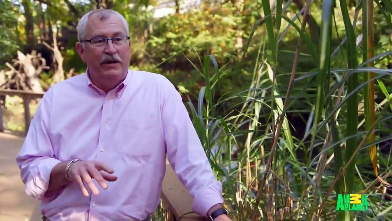 The Zoo (2017) - Se2 - Ep09 HD Watch HD Deutsch