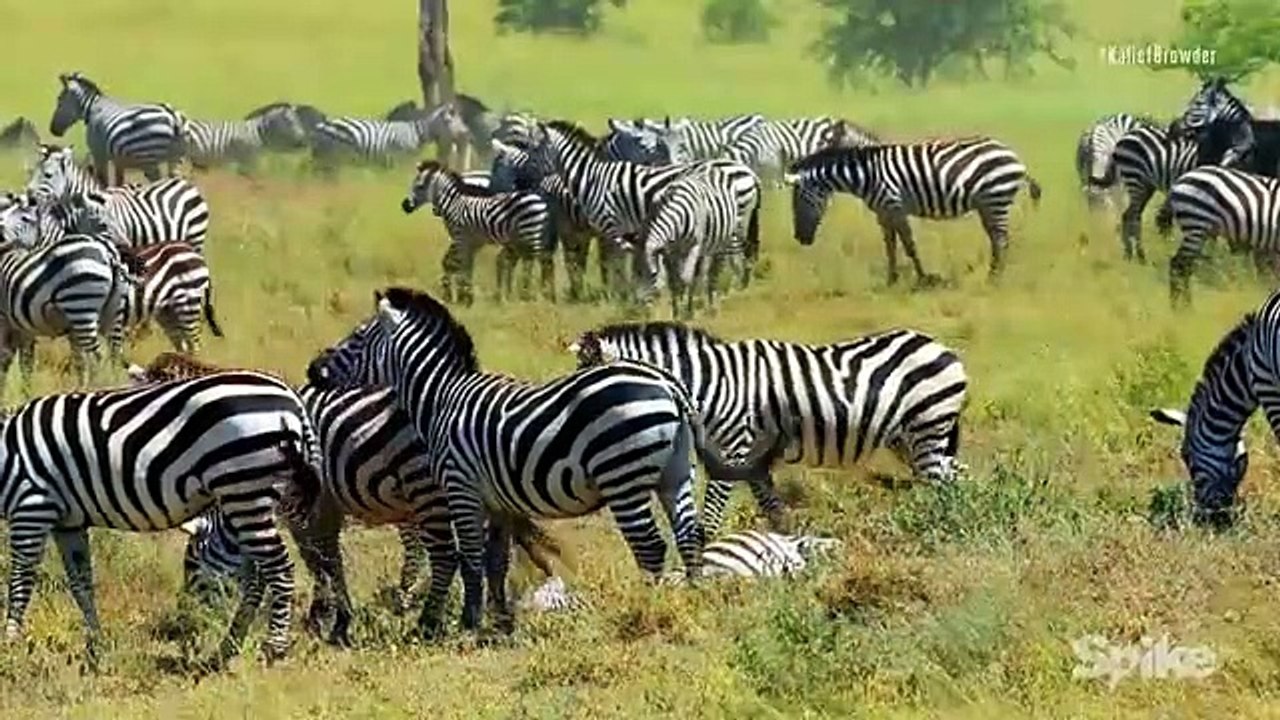 Time - The Kalief Browder Story - Se1 - Ep05 HD Watch HD Deutsch