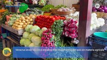 Veracruz es de los cinco estados más importantes del país en materia agrícola