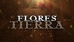 Danny Felix - Flores Y Tierra