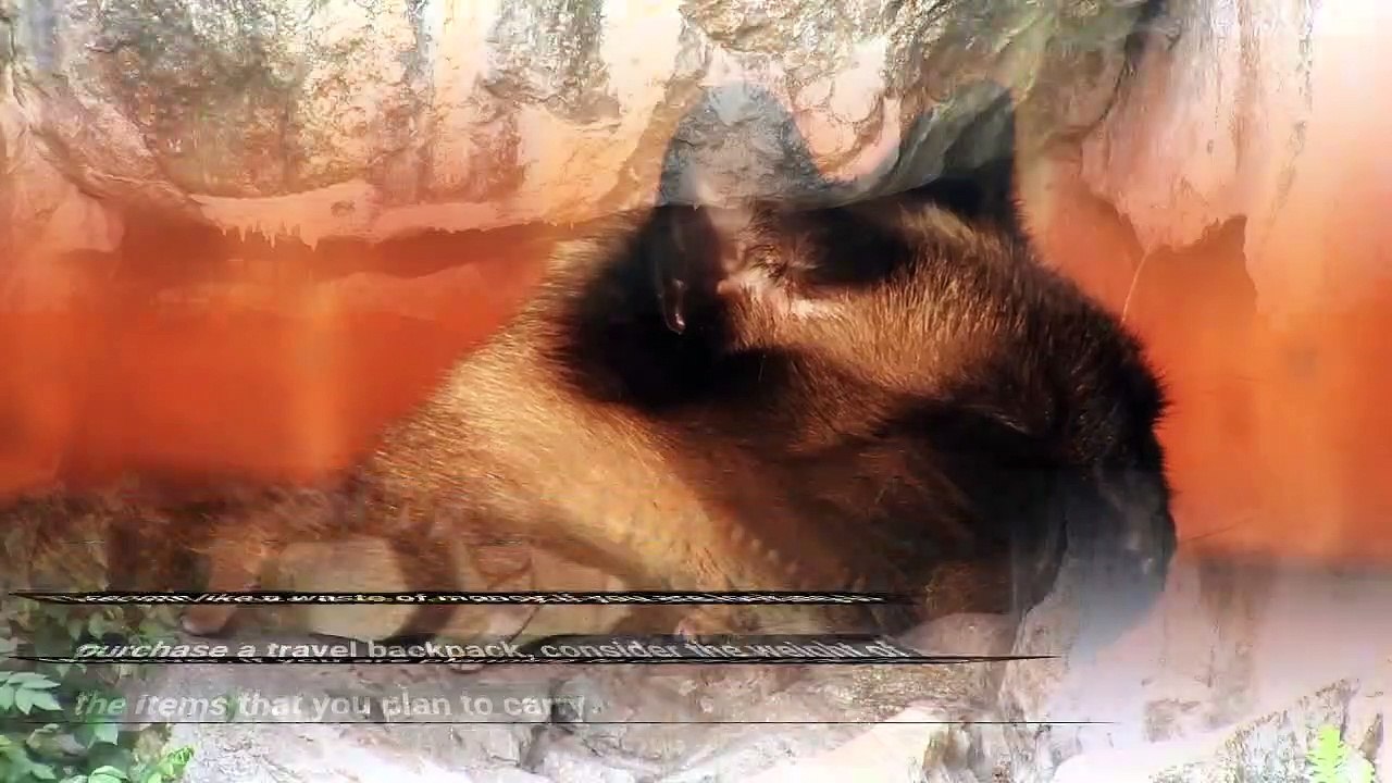 Best Travel Backpacks for Hiking and Camping