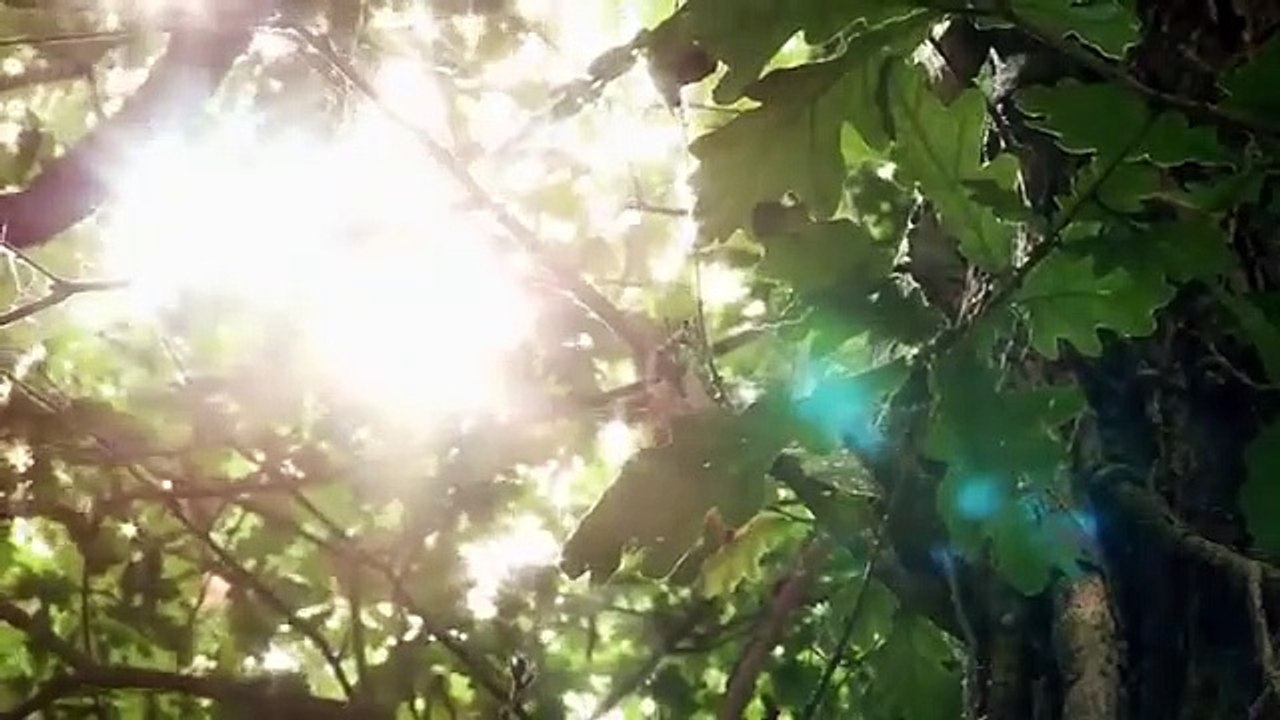 Inside the Mind of a Serial Killer - Se1 - Ep10 - Michel Fourniret and Monique HD Watch HD Deutsch