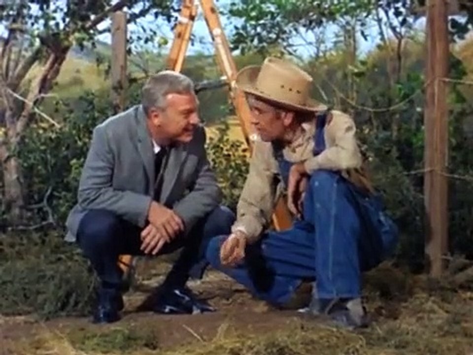 Green Acres - Se1 - Ep04 HD Watch HD Deutsch
