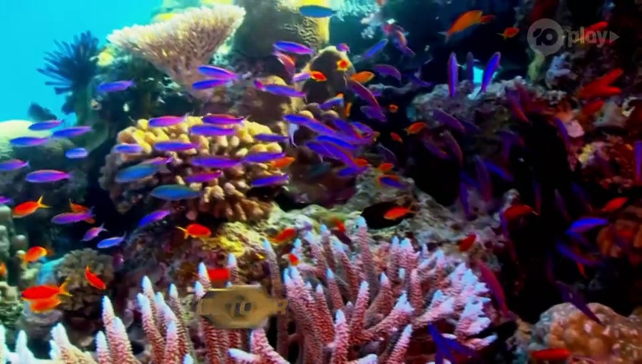 The Amazing Race Australia - Se5 - Ep06 - Leg 6 HD Watch HD Deutsch