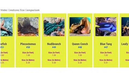 Water Creatures Size Comparison