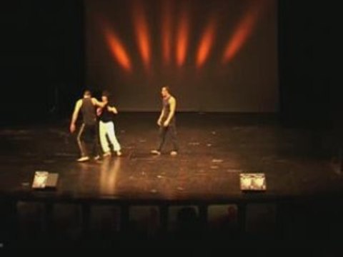 207 Acrobates Nuit des artistes 2008 (soir)