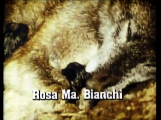 Ambição Capitulo 49 Dublado