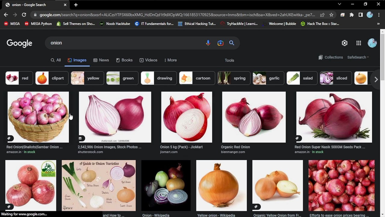 What is TOR BROWSER - DARK WEB or DARK SITE