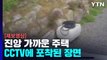 [괴산 지진] 진앙 가까운 주택 CCTV에 포착...큰 진동 감지 (제보영상) / YTN