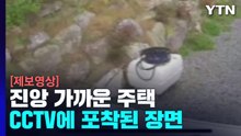 [괴산 지진] 진앙 가까운 주택 CCTV에 포착...큰 진동 감지 (제보영상) / YTN