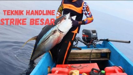 Mancing Tanpa Joran Dapat Tuna Besar | Handline Fishing #mancingtuna