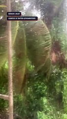 Strong rains, heavy winds due to #PaengPH in Boracay