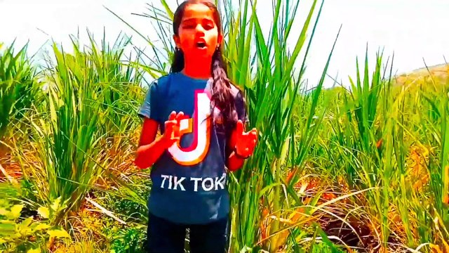 Health Benefits Of Sugarcane Juice & Information About Sugarcane Crop In English #kuberclasses