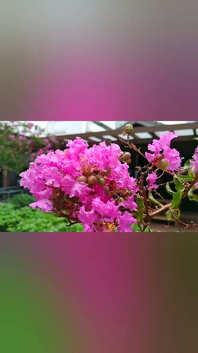 tt_200015oG0h