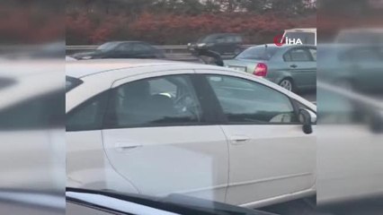 Karganın araç üzerindeki yolculuğu görenleri şaşkına çevirdi