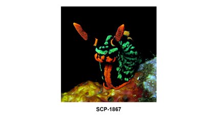 SCP-1867 Lord Blackwood