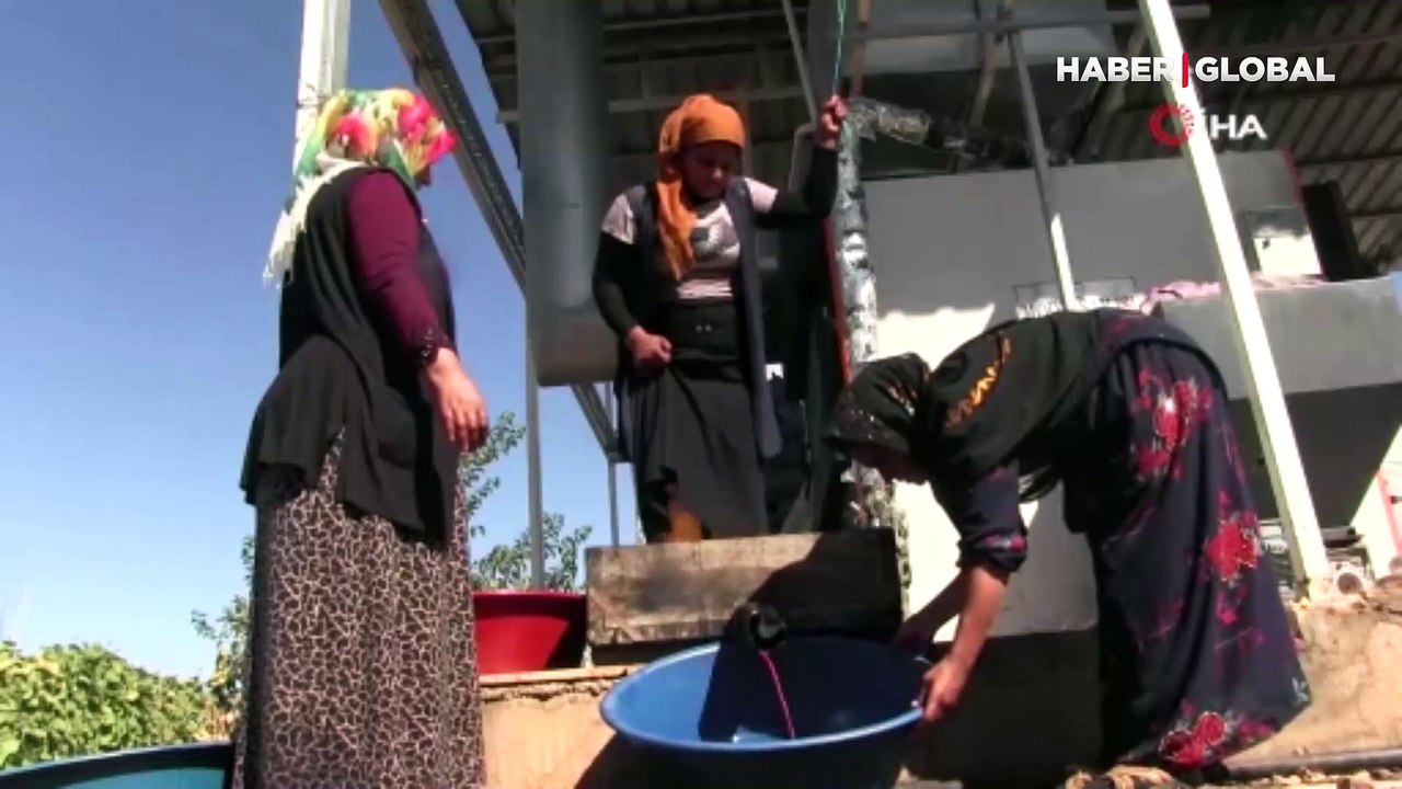 Nar ekşisi nasıl yapılır?: Tanele,  tekneye bas, suyunu çıkart, kaynat!