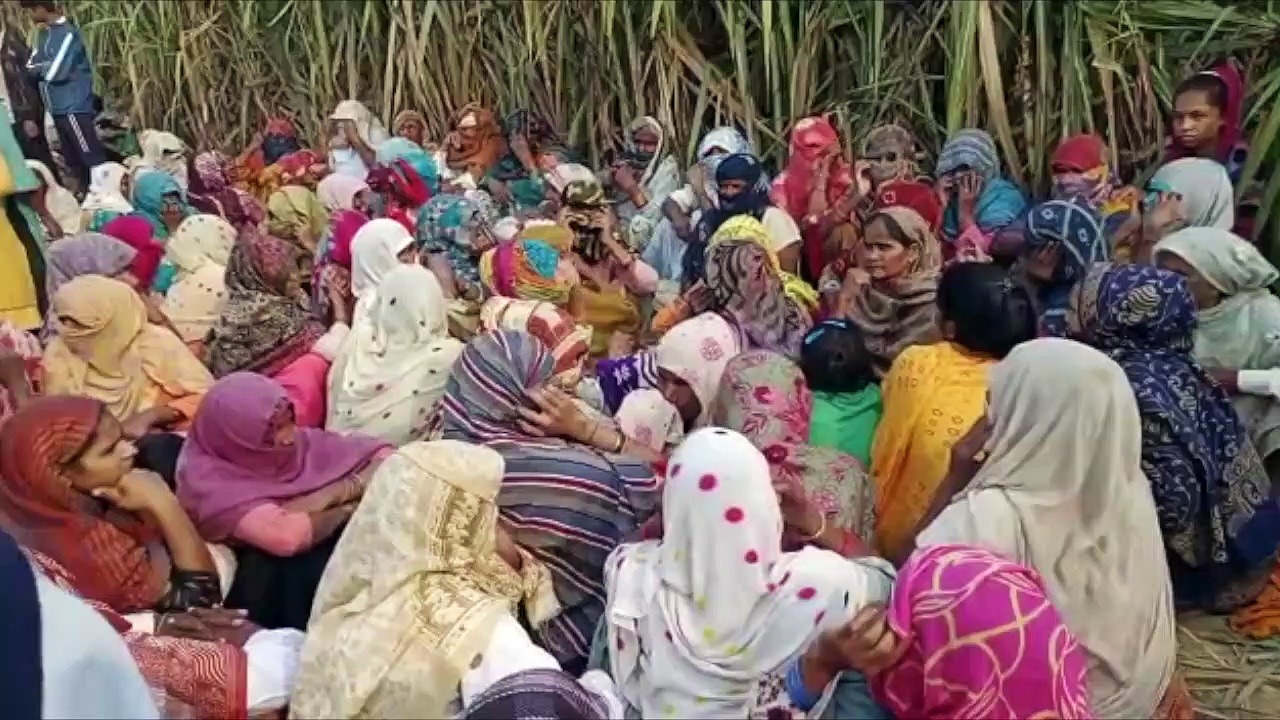 शामली: खेत में मिला महिला का शव, परिजनों ने लगाया गैंगरेप के बाद हत्या का आरोप