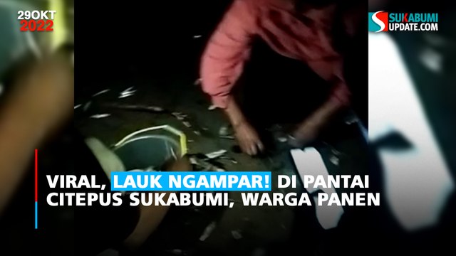Viral, Lauk Ngampar! di Pantai Citepus Sukabumi, Warga Panen
