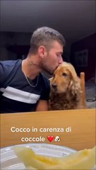 Un chien mignon rappelle à l'homme les baisers - Buzz Buddy