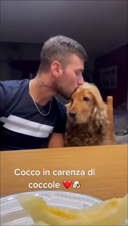 Un chien mignon rappelle à l'homme les baisers - Buzz Buddy