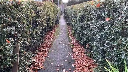 Alleygating scheme to be debated by Hastings Borough Council’s Cabinet