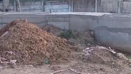 மழைநீர் வடிகால்வாய் சீராக அமைக்க கோரிக்கை